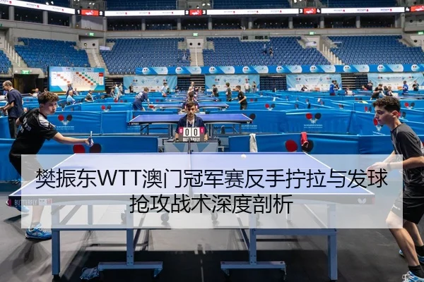 樊振东WTT澳门冠军赛反手拧拉与发球抢攻战术深度剖析