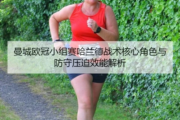man-cheng-ou-guan-xiao-zu-sai-ha-lan-de-zhan-shu-he-xin-jue-se-yu-fang-shou-ya-po-xiao-neng-jie-xi-2-813.jpg