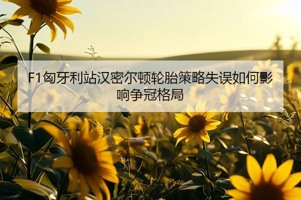 xiong-ya-li-zhan-han-mi-er-dun-lun-tai-ce-lve-shi-wu-ru-he-ying-xiang-zheng-guan-ge-ju-2-119.jpg