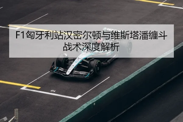xiong-ya-li-zhan-han-mi-er-dun-yu-wei-si-ta-pan-chan-dou-zhan-shu-shen-du-jie-xi-3-626.jpg