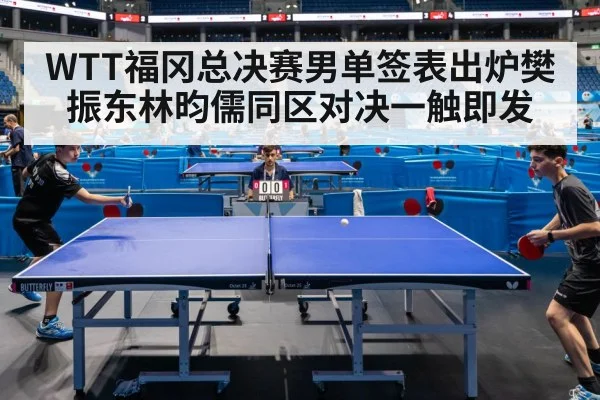 WTT福冈总决赛男单签表出炉樊振东林昀儒同区对决一触即发