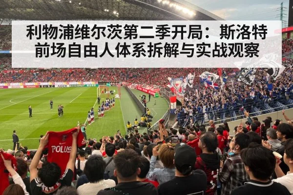 football stadium fans